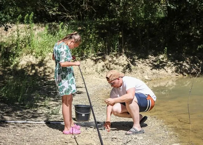 Mobil 6 Pers Avec Terrasse Aux Achards - Api-1-52-602 *